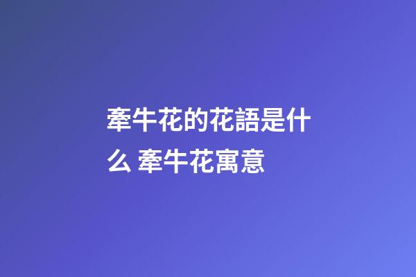 牽牛花的花語是什么 牽牛花寓意